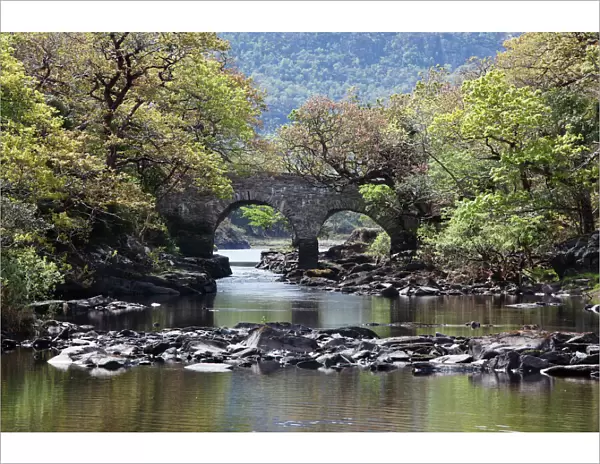 Old Weir Bridge, Meeting of the Waters, Killarney National Park, County Kerry, Ireland, British Isles, Europe