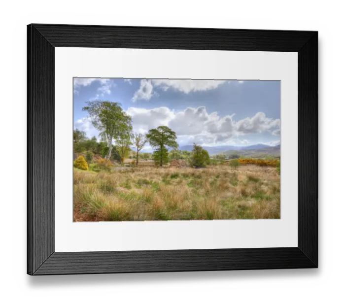 Framed Print : Killarney National Park, moor at Upper Lake, County Kerry, Ireland, British Isles, Europe Framed Print : Killarney National Park, moor at Upper Lake, County Kerry, Ireland, British Isles, Europe