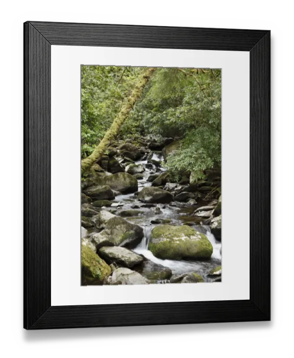 Framed Print : Creek near Torc Waterfall, Killarney National Park, County Kerry, Ireland, British Isles, Europe Framed Print : Creek near Torc Waterfall, Killarney National Park, County Kerry, Ireland, British Isles, Europe