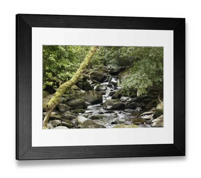 Framed Print : Creek near Torc Waterfall, Killarney National Park, County Kerry, Ireland, British Isles, Europe Framed Print : Creek near Torc Waterfall, Killarney National Park, County Kerry, Ireland, British Isles, Europe
