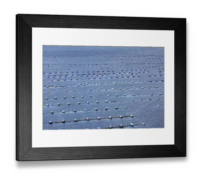 Framed Print : Shellfish farming in Kilmakilloge Harbour, Beara Peninsula, County Kerry, Ireland, British Isles, Europe Framed Print : Shellfish farming in Kilmakilloge Harbour, Beara Peninsula, County Kerry, Ireland, British Isles, Europe