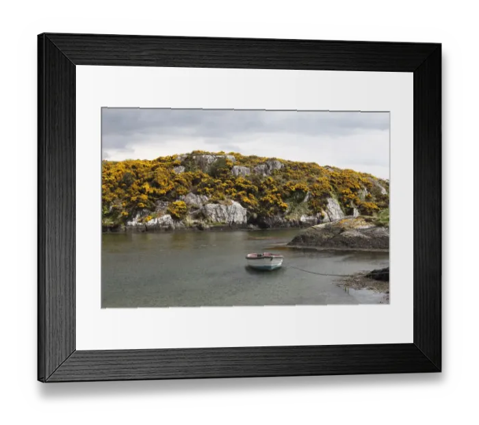 Framed Print : Goleen Harbour, flowering broom, Mizen Head Peninsula, West Cork, Republic of Ireland, British Isles, Europe Framed Print : Goleen Harbour, flowering broom, Mizen Head Peninsula, West Cork, Republic of Ireland, British Isles, Europe