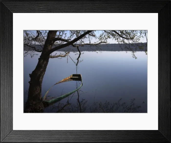 Framed Print : A sunken rowing boat in the lake of Moryn, Poland, Europe Framed Print : A sunken rowing boat in the lake of Moryn, Poland, Europe