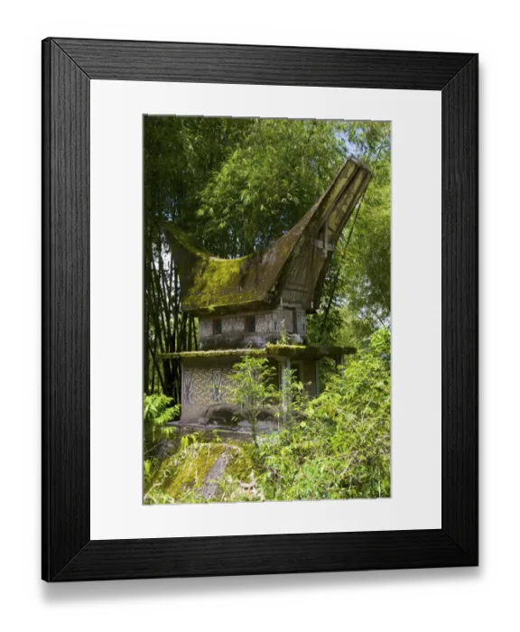 Framed Print : Lokomata burial site in the shape of a traditional Toraja house, near Ratepao, Sulawesi, Indonesia, Southeast Asia Framed Print : Lokomata burial site in the shape of a traditional Toraja house, near Ratepao, Sulawesi, Indonesia, Southeast Asia
