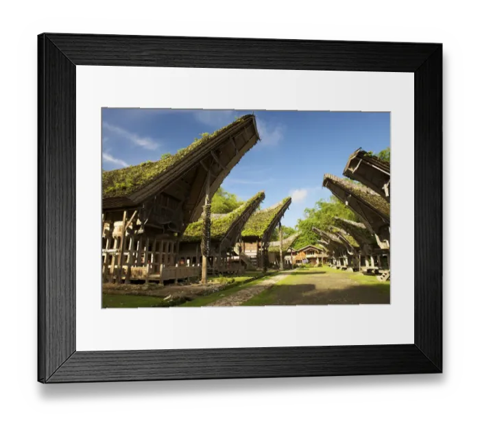 Framed Print : Kete Kesu village with traditional Toraja houses near Rantepao, Sulawesi, Indonesia, Southeast Asia Framed Print : Kete Kesu village with traditional Toraja houses near Rantepao, Sulawesi, Indonesia, Southeast Asia