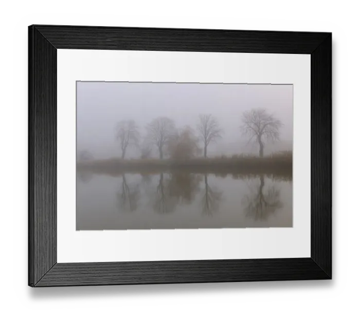 Framed Print : Landscape, fog, Schoenau fish ponds, Schoenau, Lower Austria, Austria, Europe Framed Print : Landscape, fog, Schoenau fish ponds, Schoenau, Lower Austria, Austria, Europe