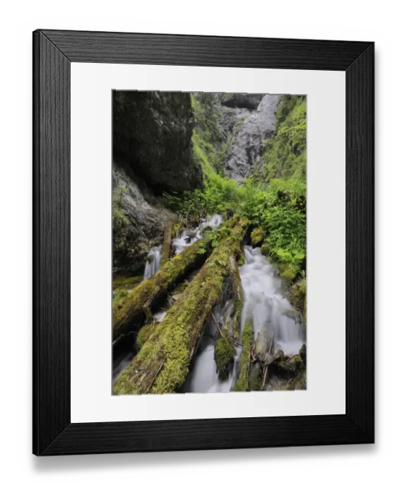 Framed Print : Dolne Diery ravine, Mala Fatra National Park, Slovakia, Europe Framed Print : Dolne Diery ravine, Mala Fatra National Park, Slovakia, Europe