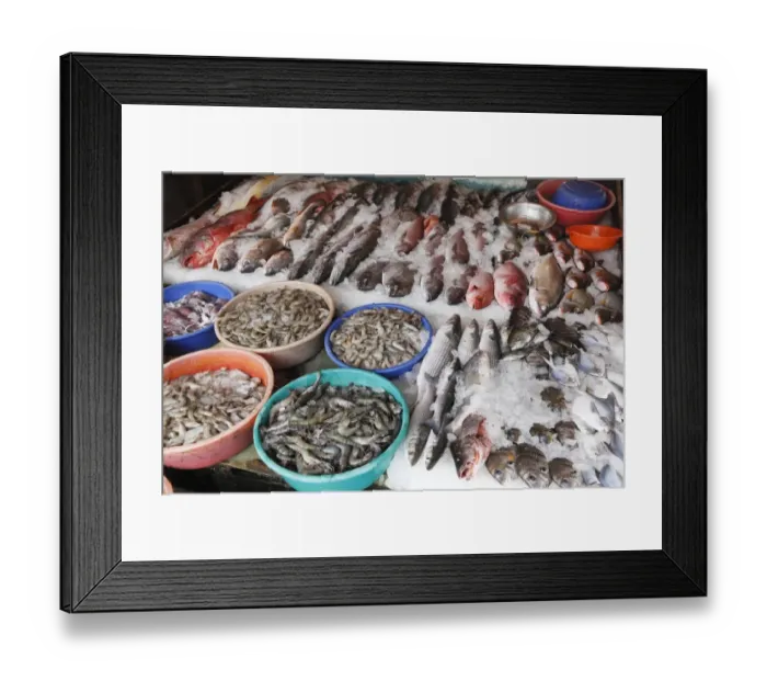 Framed Print : Fish and tiger prawns, king prawns, fish market, Kochi, Fort Cochin, Kerala, South India, South Asia Framed Print : Fish and tiger prawns, king prawns, fish market, Kochi, Fort Cochin, Kerala, South India, South Asia