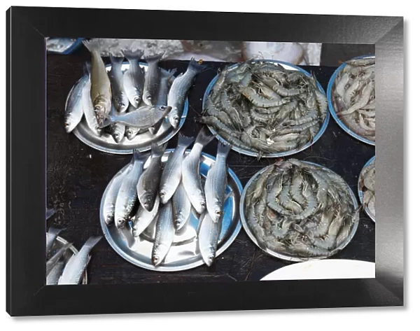 Fish and tiger prawns, king prawns, fish market, Kochi, Fort Cochin, Kerala, South India, South Asia