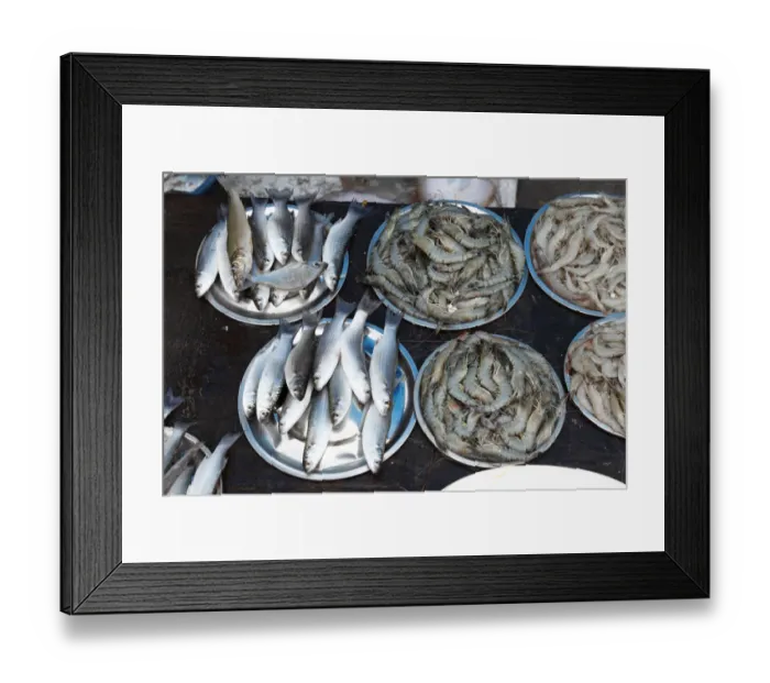 Framed Print : Fish and tiger prawns, king prawns, fish market, Kochi, Fort Cochin, Kerala, South India, South Asia Framed Print : Fish and tiger prawns, king prawns, fish market, Kochi, Fort Cochin, Kerala, South India, South Asia