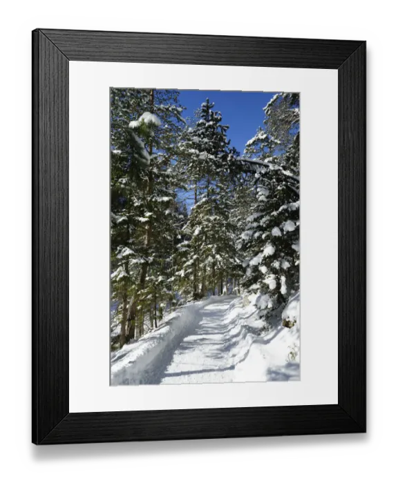 Framed Print : Winterly forest track at lake Eibsee, Grainau, Werdenfelser Land, Upper Bavaria, Bavaria, Germany, Europe Framed Print : Winterly forest track at lake Eibsee, Grainau, Werdenfelser Land, Upper Bavaria, Bavaria, Germany, Europe