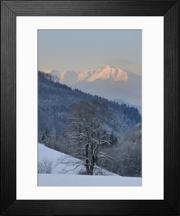 Framed Print : Schneeberg mountain, Jagasitz, Lower Austria, Austria, Europe Framed Print : Schneeberg mountain, Jagasitz, Lower Austria, Austria, Europe