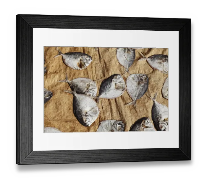 Framed Print : Fish laid out to dry, Alleppey, Backwaters, Kerala, India, South Asia, Asia Framed Print : Fish laid out to dry, Alleppey, Backwaters, Kerala, India, South Asia, Asia