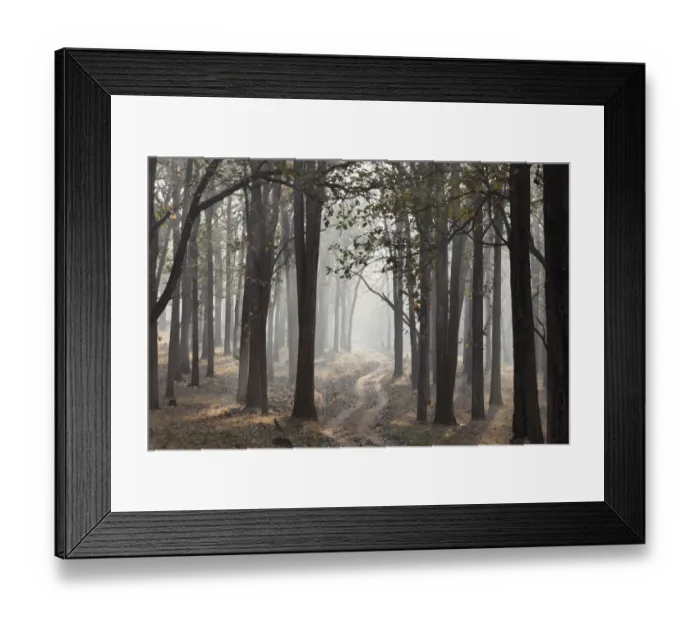 Framed Print : Morning mist and dirt road in the woods, Rajiv Gandhi National Park, Nagarhole National Park, Karnataka, South India, India, South Asia, Asia Framed Print : Morning mist and dirt road in the woods, Rajiv Gandhi National Park, Nagarhole National Park, Karnataka, South India, India, South Asia, Asia