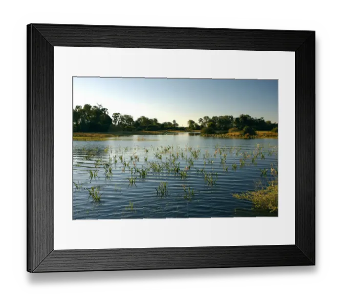 Framed Print : Okavango Delta, Botswana, Africa Framed Print : Okavango Delta, Botswana, Africa