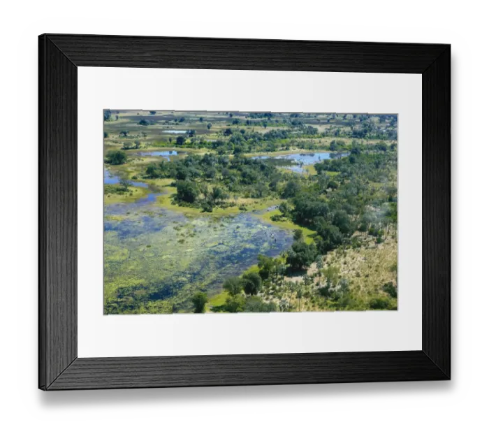 Framed Print : Aerial view, Okavango Delta, Botswana, Africa Framed Print : Aerial view, Okavango Delta, Botswana, Africa