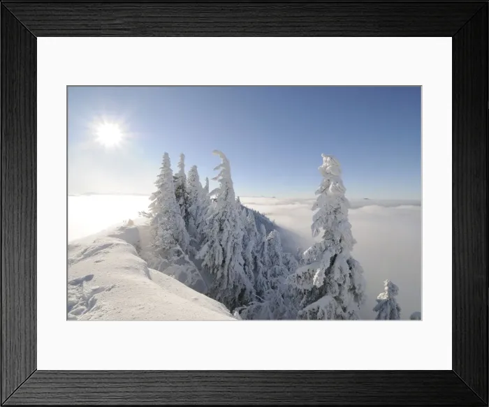 Framed Print : View from the summit of Mt. Unterberg to the west, Lower Austria, Austria, Europe Framed Print : View from the summit of Mt. Unterberg to the west, Lower Austria, Austria, Europe