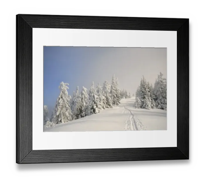 Framed Print : Ascent tracks and deep snow-covered trees at the ridge of Mt. Unterberg, ski tour, Mt. Unterberg, Lower Austria, Austria, Europe Framed Print : Ascent tracks and deep snow-covered trees at the ridge of Mt. Unterberg, ski tour, Mt. Unterberg, Lower Austria, Austria, Europe