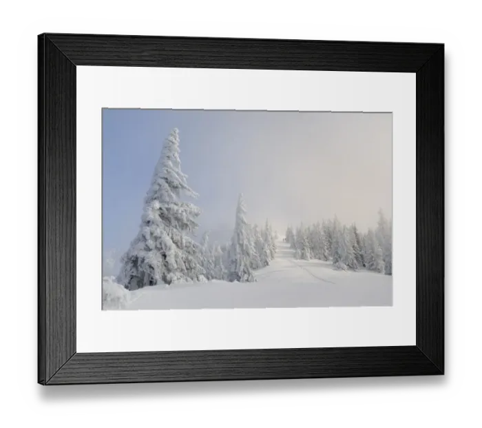Framed Print : Snow-covered trees on the ridge of Mt. Unterberg, Lower Austria, Austria, Europe