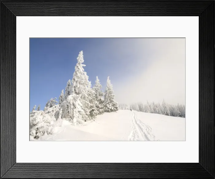Framed Print : Ascent tracks and deep snow-covered trees on the ridge of Mt. Unterberg, Lower Austria, Austria, Europe Framed Print : Ascent tracks and deep snow-covered trees on the ridge of Mt. Unterberg, Lower Austria, Austria, Europe
