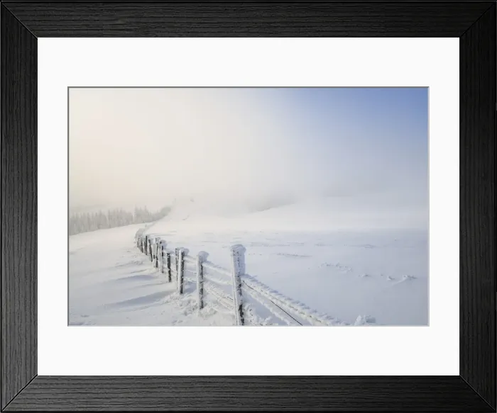 Framed Print : Snowy fence, Mt. Unterberg, Lower Austria, Austria, Europe Framed Print : Snowy fence, Mt. Unterberg, Lower Austria, Austria, Europe
