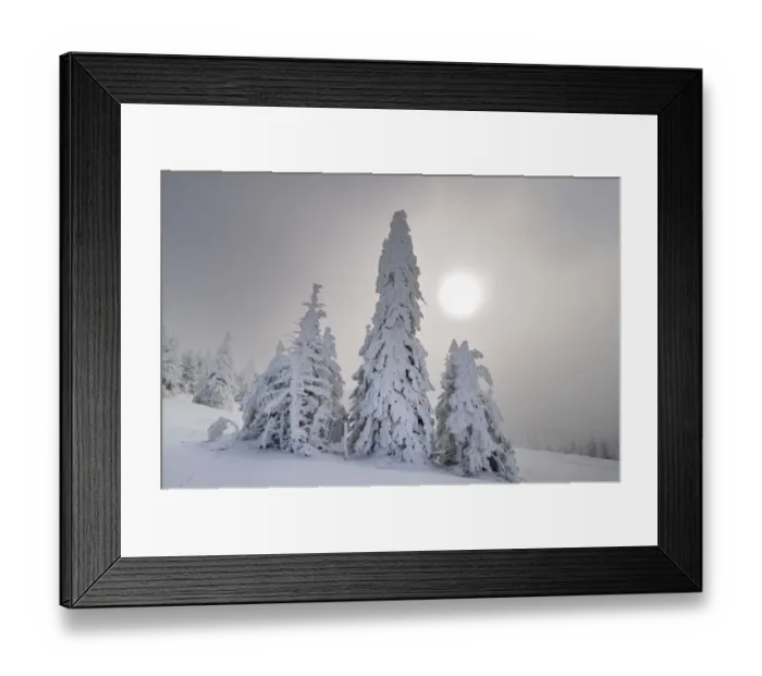 Framed Print : Winter landscape, Mt. Unterberg, Lower Austria, Austria, Europe Framed Print : Winter landscape, Mt. Unterberg, Lower Austria, Austria, Europe