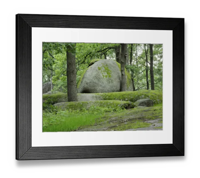 Framed Print : Granit rock, Blockheide nature park in Gmuend, Lower Austria, Austria, Europe Framed Print : Granit rock, Blockheide nature park in Gmuend, Lower Austria, Austria, Europe