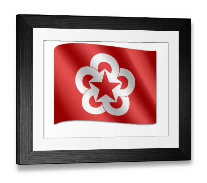 Framed Print : Flag of the Council for Mutual Economic Assistance, CMEA Framed Print : Flag of the Council for Mutual Economic Assistance, CMEA