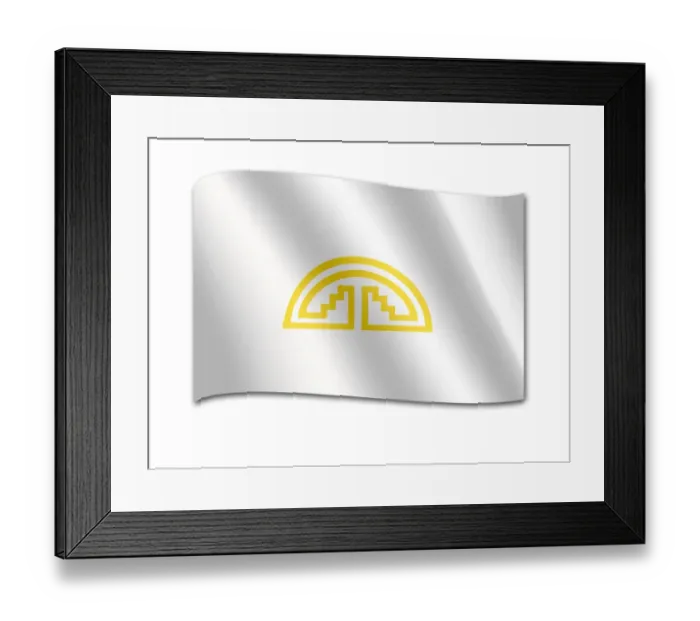 Framed Print : Flag of the Andean Community