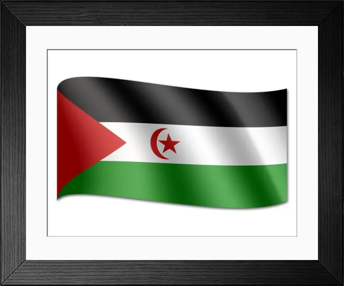 Framed Print : Flag of Western Sahara Framed Print : Flag of Western Sahara