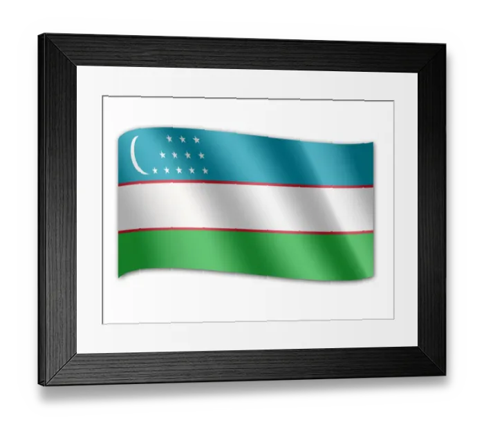 Framed Print : Flag of Uzbekistan
