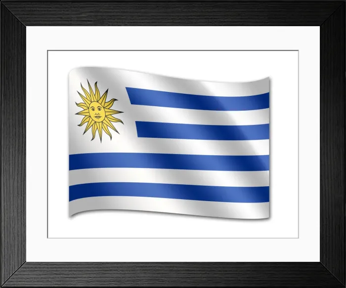 Framed Print : Flag of Uruguay Framed Print : Flag of Uruguay