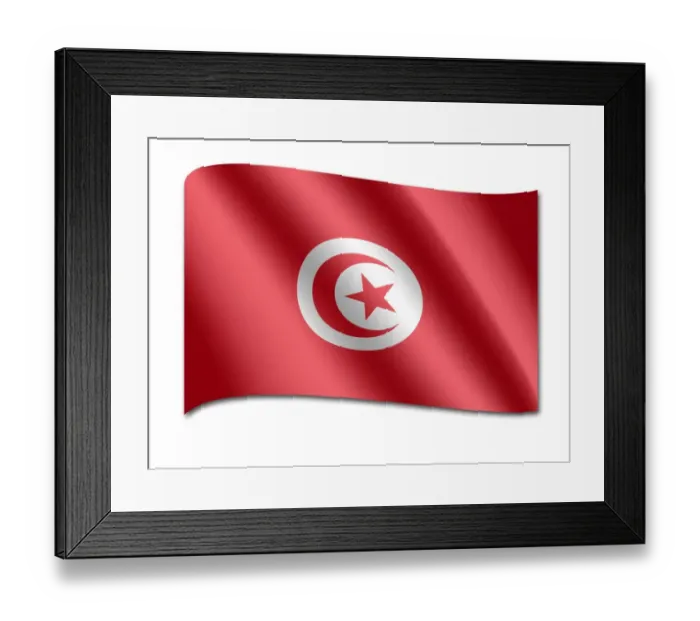 Framed Print : Flag of the Union of South American Nations Framed Print : Flag of the Union of South American Nations