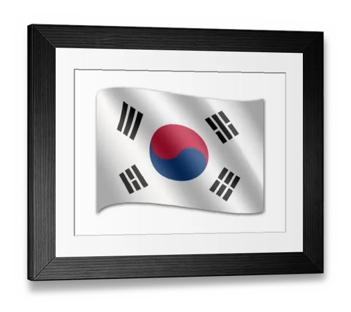 Framed Print : Flag of South Korea Framed Print : Flag of South Korea