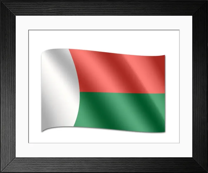 Framed Print : Flag of Madagascar Framed Print : Flag of Madagascar