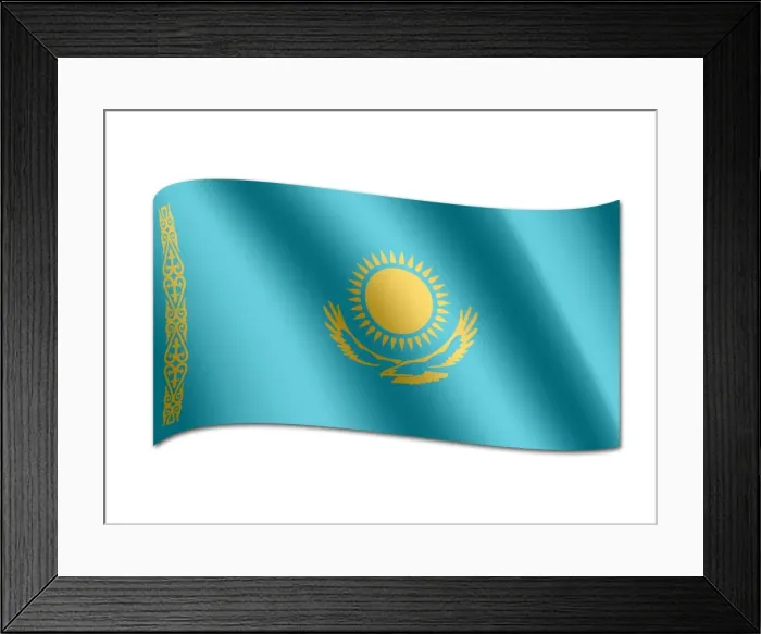 Framed Print : Flag of Kazakhstan Framed Print : Flag of Kazakhstan