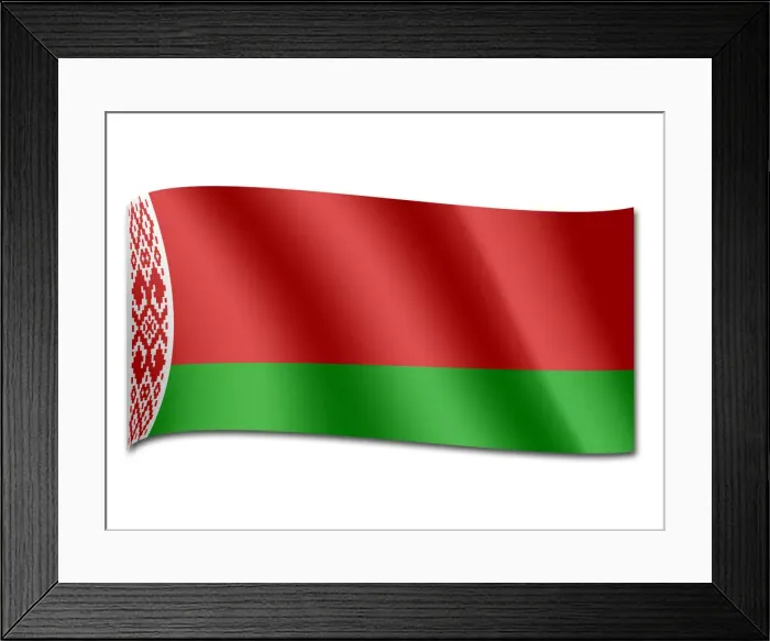 Framed Print : Flag of Belarus Framed Print : Flag of Belarus