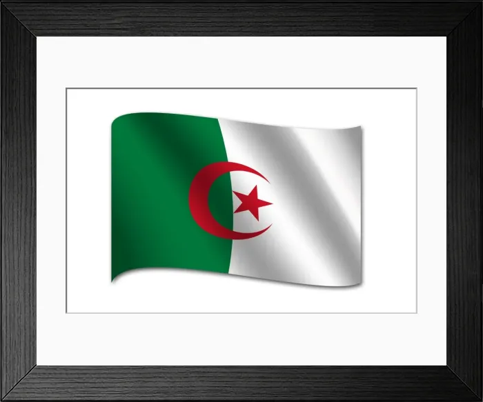 Framed Print : Flag of Algeria Framed Print : Flag of Algeria