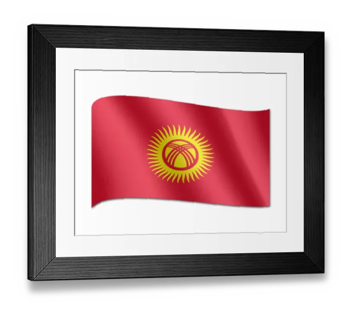 Framed Print : Flag of Kyrgyzstan Framed Print : Flag of Kyrgyzstan