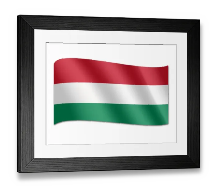 Framed Print : Flag of Tajikistan Framed Print : Flag of Tajikistan