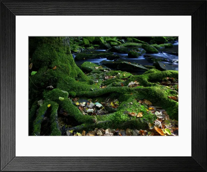 Framed Print : Sausbachklamm gorge, Bavarian Forest, Bavaria, Germany, Europe Framed Print : Sausbachklamm gorge, Bavarian Forest, Bavaria, Germany, Europe