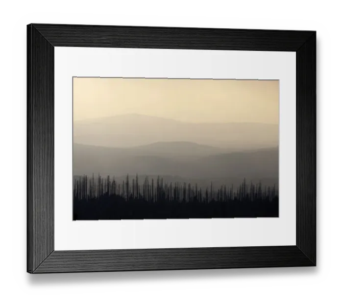 Framed Print : Hill in backlight on Mt. Lusen, Nationalpark Bayrischer Wald National Park Bavarian Forest, Bavaria, Germany, Europe Framed Print : Hill in backlight on Mt. Lusen, Nationalpark Bayrischer Wald National Park Bavarian Forest, Bavaria, Germany, Europe