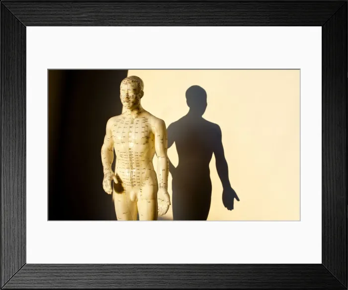 Framed Print : Acupuncture figure with shadow Framed Print : Acupuncture figure with shadow