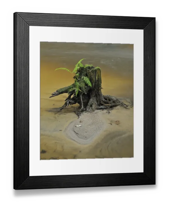 Framed Print : Zwettlbach brook, Gross Gerungs, Waldviertel region, Lower Austria, Austria, Europe Framed Print : Zwettlbach brook, Gross Gerungs, Waldviertel region, Lower Austria, Austria, Europe