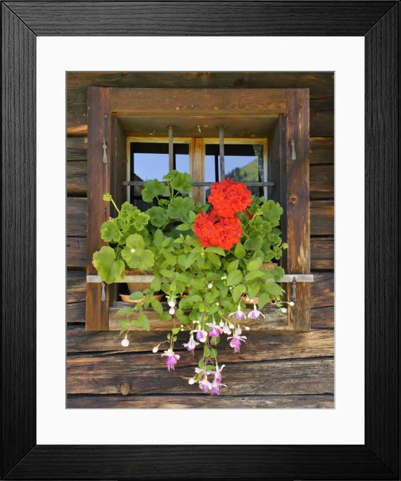 Framed Print : Window with flower box, Laerchkaralm mountain lodge, Donnersbachwald, Styria, Austria, Europe Framed Print : Window with flower box, Laerchkaralm mountain lodge, Donnersbachwald, Styria, Austria, Europe