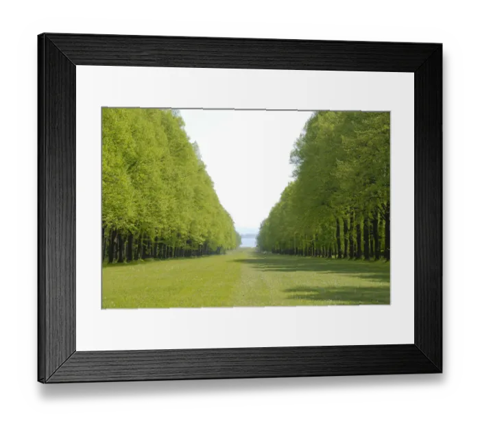 Framed Print : Fresh green, park, with forest aisle and lawn at Herrenchiemsee in the spring, Herreninsel island, Lake Chiemsee, Chiemgau, Upper Bavaria, Bavaria, Germany, Europe Framed Print : Fresh green, park, with forest aisle and lawn at Herrenchiemsee in the spring, Herreninsel island, Lake Chiemsee, Chiemgau, Upper Bavaria, Bavaria, Germany, Europe