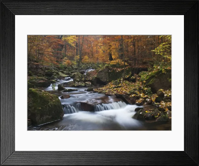 Framed Print : Ilse brook in autumn, rapids, Ilsetal valley, Harz region, Saxony-Anhalt, Germany, Europe Framed Print : Ilse brook in autumn, rapids, Ilsetal valley, Harz region, Saxony-Anhalt, Germany, Europe