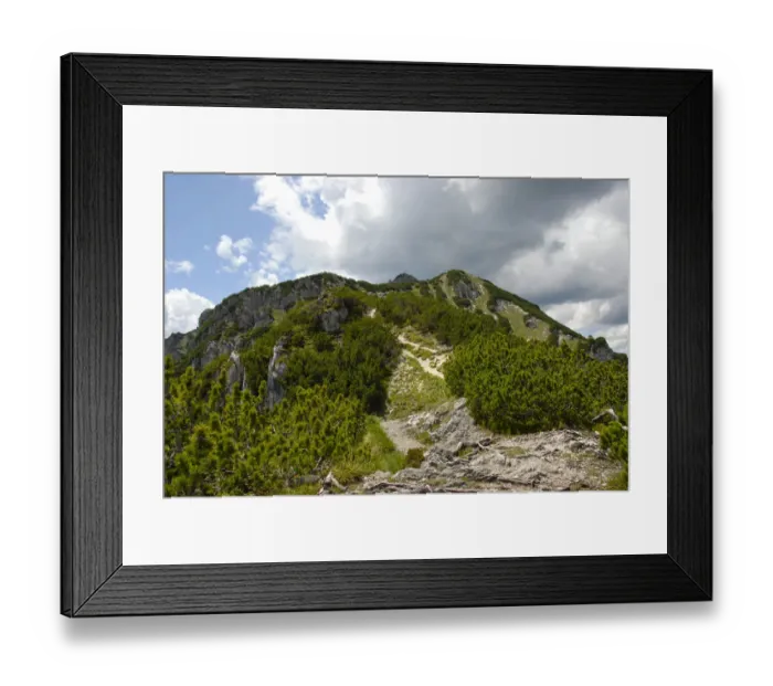 Framed Print : Ascent, path to the summit, Mt. Kramer or Mt. Kramerspitz, 1985m, Mountain Pine or Mugo Pine -Pinus mugo mugo-, near Garmisch-Partenkirchen, Werdenfelser Land area, Upper Bavaria, Bavaria, Germany, Europe Framed Print : Ascent, path to the summit, Mt. Kramer or Mt. Kramerspitz, 1985m, Mountain Pine or Mugo Pine -Pinus mugo mugo-, near Garmisch-Partenkirchen, Werdenfelser Land area, Upper Bavaria, Bavaria, Germany, Europe