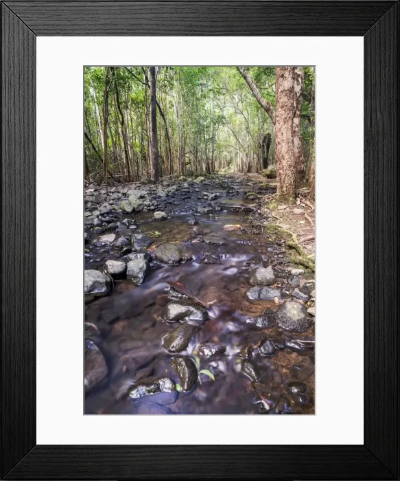 Framed Print : Creek in the forest, Black River Gorges National Park, Chamarel, Mauritius Framed Print : Creek in the forest, Black River Gorges National Park, Chamarel, Mauritius