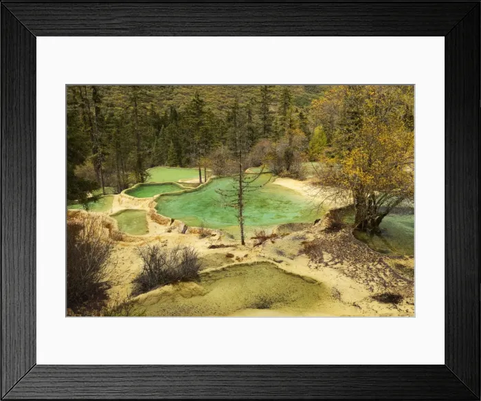Framed Print : Lime terraces with lakes in autumnal environment, Huanglong National Park, Sichuan Province, China Framed Print : Lime terraces with lakes in autumnal environment, Huanglong National Park, Sichuan Province, China